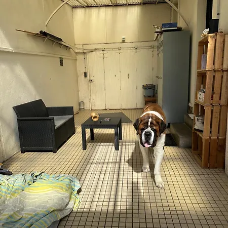 La Maison Des Rochettes פלר