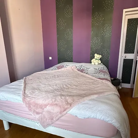 La Maison Des Rochettes פלר